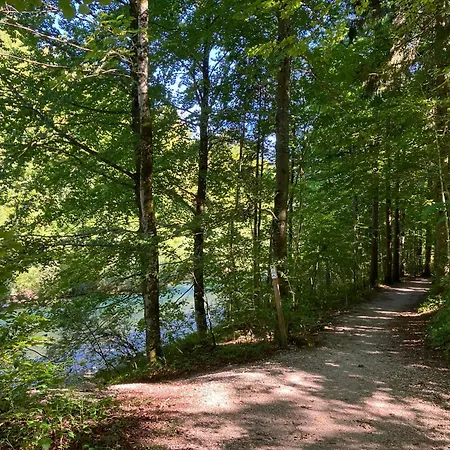 Haus Der Achtsamkeit فندق Grünau im Almtal