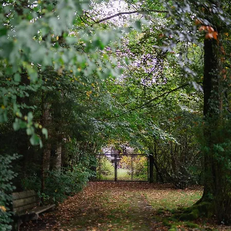 Haus Der Achtsamkeit فندق Grünau im Almtal