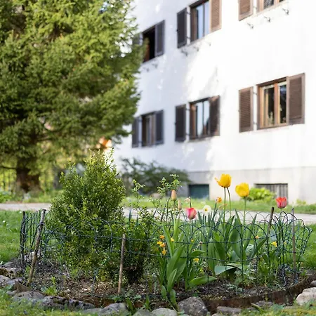 Haus Der Achtsamkeit فندق